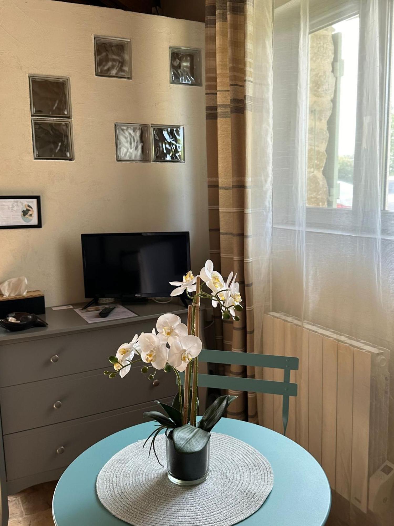 Maisonnette Independante Au Calme Dans Un Grand Jardin Châteauneuf-du-Rhône Esterno foto