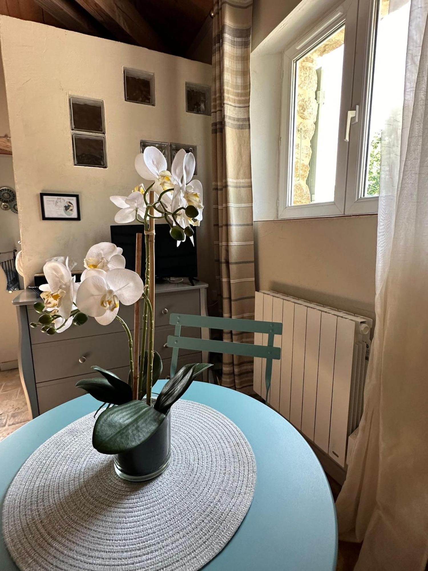 Maisonnette Independante Au Calme Dans Un Grand Jardin Châteauneuf-du-Rhône Esterno foto
