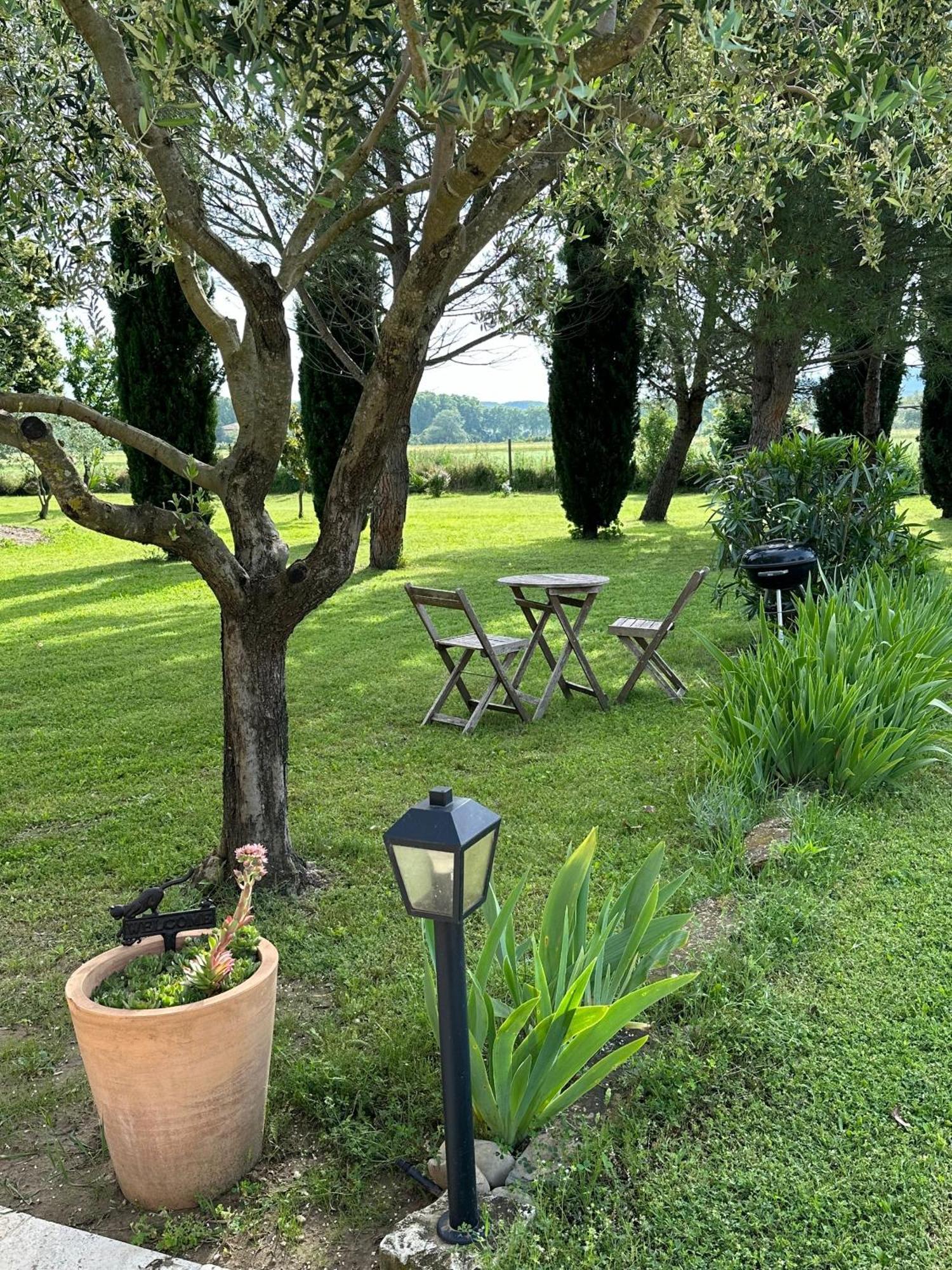 Maisonnette Independante Au Calme Dans Un Grand Jardin Châteauneuf-du-Rhône Esterno foto