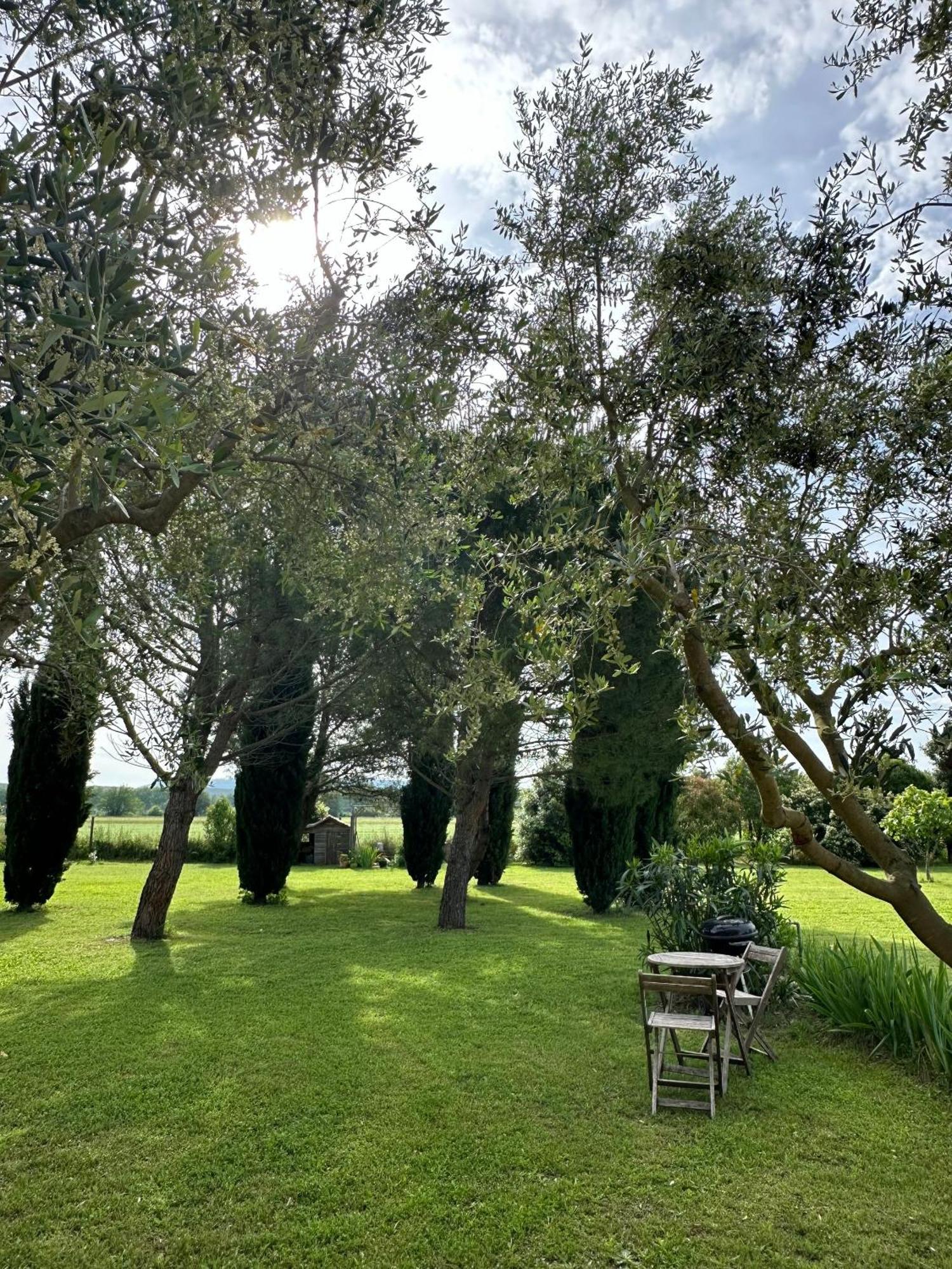 Maisonnette Independante Au Calme Dans Un Grand Jardin Châteauneuf-du-Rhône Esterno foto