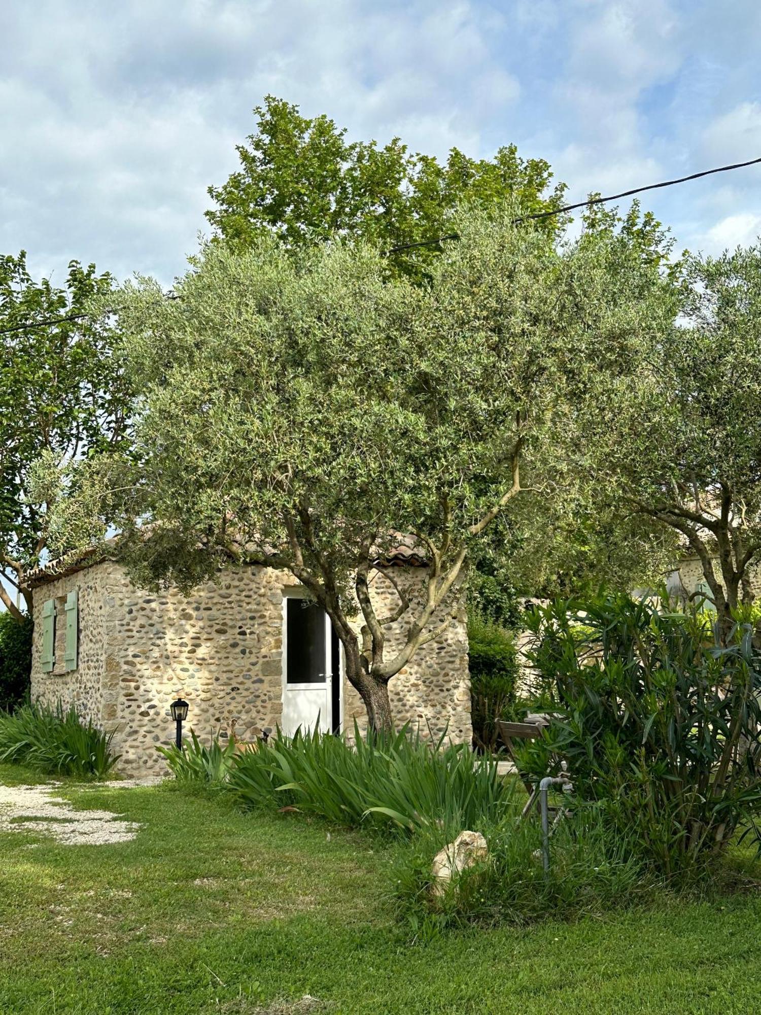 Maisonnette Independante Au Calme Dans Un Grand Jardin Châteauneuf-du-Rhône Esterno foto